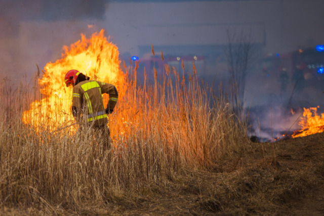 Incendi boschivi, i forestali chiedono prevenzione tutto l’anno